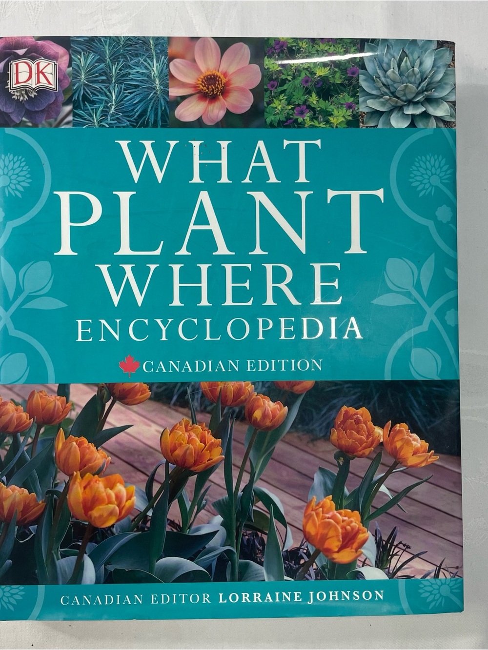 What Plant Where Encyclopedia Canadian Edition Hardcover Lorraine Johnson DK